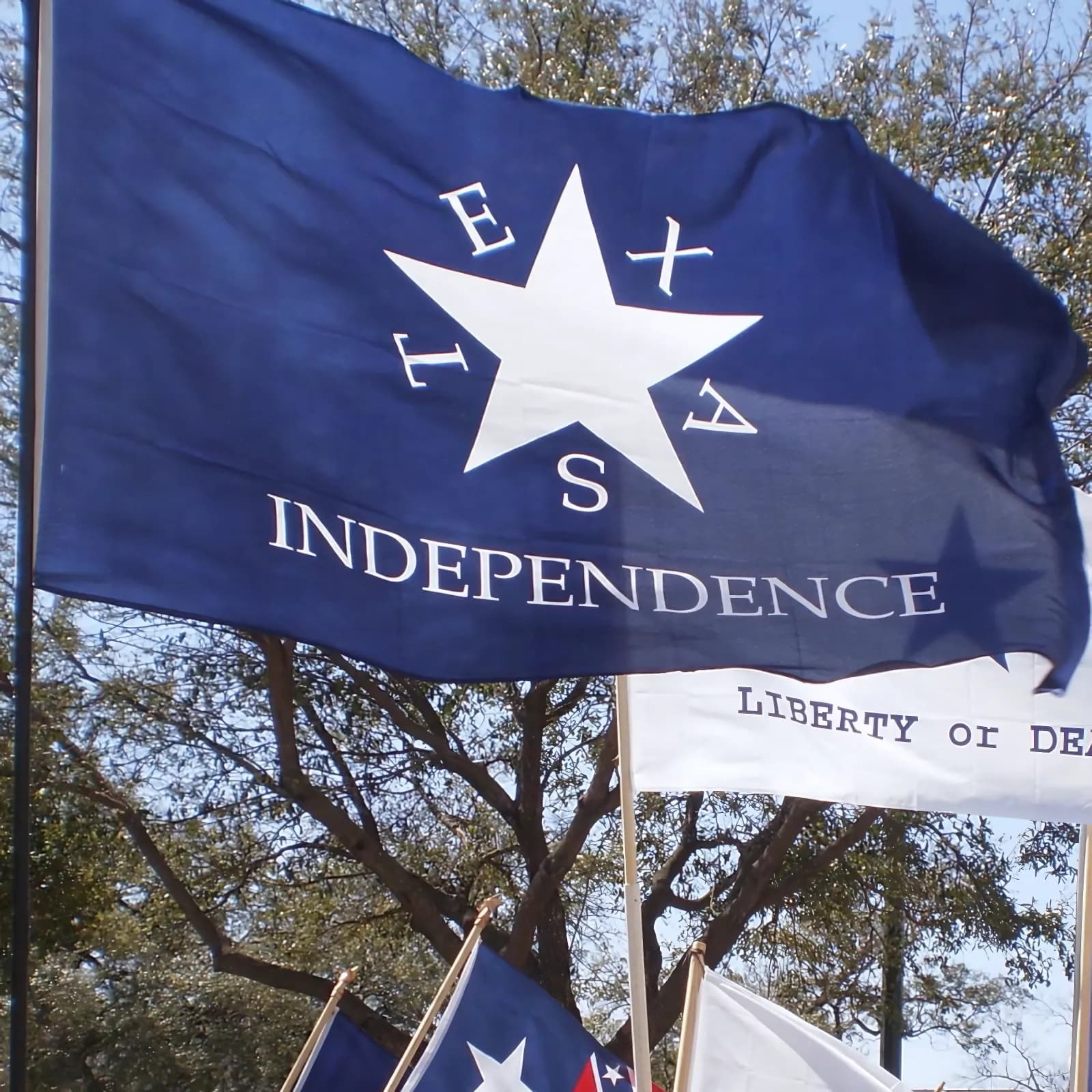 Texas Independence flag flying at a TNM rally.
